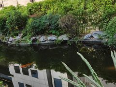 -荣府宴(南阳路店)