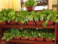 -聚宝渔港.五钻酒家(上地店)