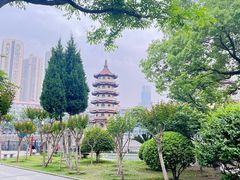-宝岛公园