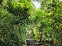-缙云山景区