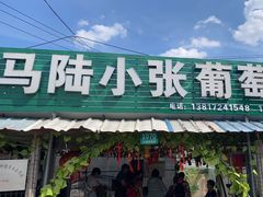 -马陆小张葡萄园农家乐