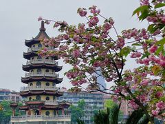 -宝岛公园