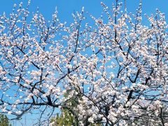 -白水寺森林公园