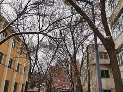 -天津五大道文化旅游区