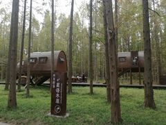 -黄海国家森林公园