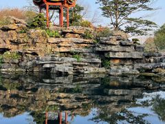 -顺峰山公园
