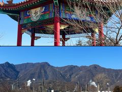 -白水寺森林公园