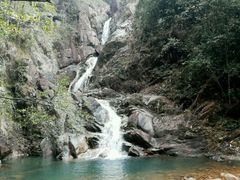 -九龙江国家森林公园