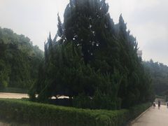 -雨花台烈士纪念馆