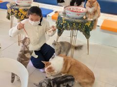 -平行世界·猫咖(首经贸店)