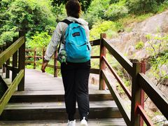 -广州白江湖森林公园