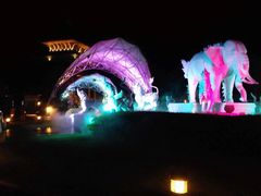 -清迈夜间动物园