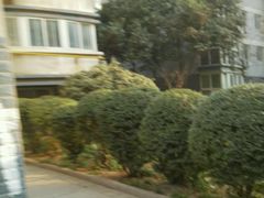 -世博源公馆·本帮融合菜·主题包厢·江景餐厅