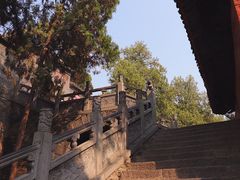 -洛阳白马寺
