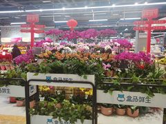 -盒马鲜生(宝地店)