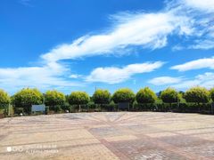 -北京张裕爱斐堡酒庄