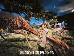 -国家自然博物馆