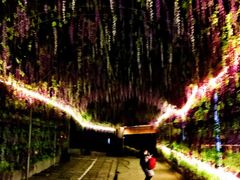 -山乡农家院(海淀区西北旺店)