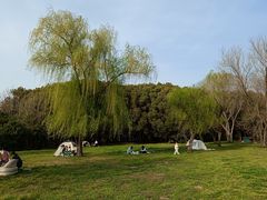 -蜀冈西峰生态公园