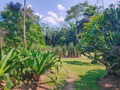 -中国科学院西双版纳热带植物园
