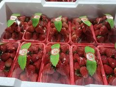 -菜园坝水果市场