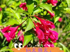 -九里河湿地公园