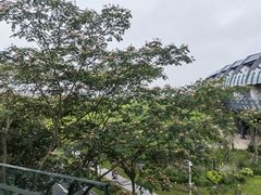 -上海滴水湖皇冠假日酒店
