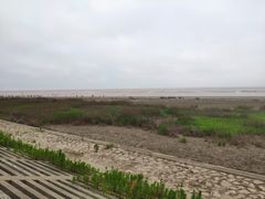 -南汇嘴观海公园