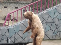 -贵州森林野生动物园