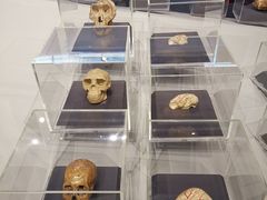 -北京周口店北京人遗址博物馆
