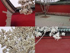 -天坛公园