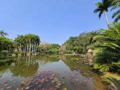 -中国科学院西双版纳热带植物园