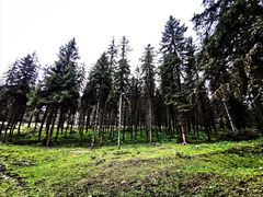 -硗碛藏寨·神木垒景区