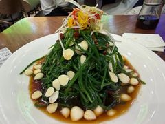 -丝路传奇·中国拉面航母店(北医三院店)