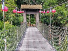 -海南热带雨林国家公园吊罗山景区