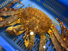 -万龙洲海鲜(南新仓店)