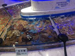 -澜悦港海鲜体验主题餐厅