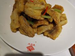 -丰收日(五角场店)