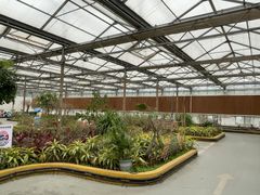 -南宫五洲植物乐园