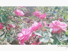 -人民公园(罗湖区)