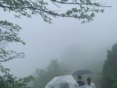 -涂山风景区