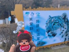 -青藏高原野生动物园