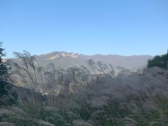 -山王坪喀斯特国家生态公园