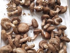 -五里多农博广场