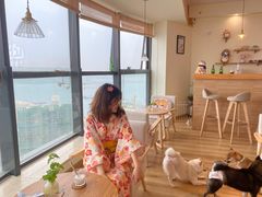 -柴犬小屋·柴餐厅·狗咖食堂(金鼎广场店)