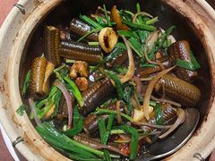 黄鳝啫啫煲-惠食佳(滨江大公馆店)