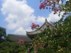 -济南大明湖景区