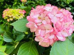 -常州古运河南大街文化旅游区-人民公园