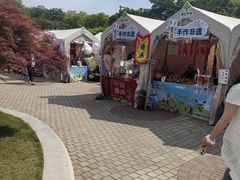 -嘉定紫藤园