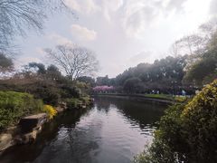 -常鲜德乐购迎桂馒头店(麻巷公寓店)
